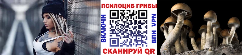 Галлюциногенные грибы GOLDEN TEACHER  Купить  Ардон 